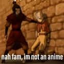 You OK? on Random Hilarious Memes That Prove Avatar: Last Airbender Is An Honorary Anime