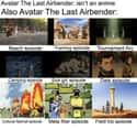 I'm Convinced on Random Hilarious Memes That Prove Avatar: Last Airbender Is An Honorary Anime
