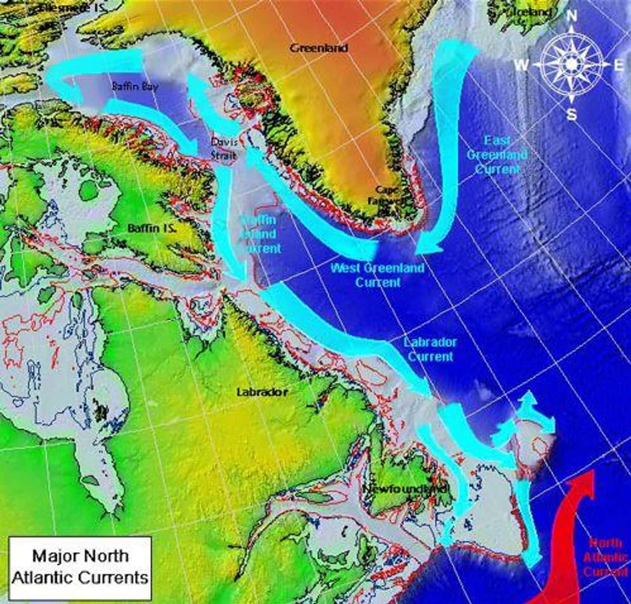 Северо атлантическое течение. Лабрадорское течение течения Атлантического океана. Восточно Гренландское течение на карте. Лабрадор пролив. Восточно Гренландское течение.