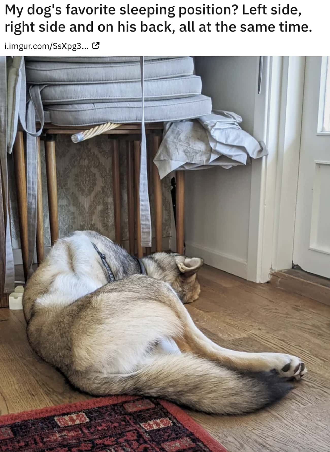 How Is That Possibly Comfortable?