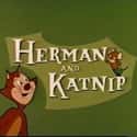 Herman and Katnip on Random Best Cat Cartoons