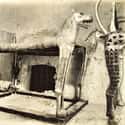 Although Portions Of The Tomb Had Been Robbed, Tutankhamun’s Tomb Was Significant Because The Items Inside Were Intact, Not Fragments on Random Archaeological Discovery Of King Tut’s Tomb Started Nearly 100 Years Ago - And Continues Today