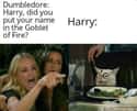 Just Admit What You Did on Random Harry Potter Memes That Made Us Realize He's Actually Worst