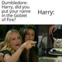 Just Admit What You Did on Random Harry Potter Memes That Made Us Realize He's Actually Worst