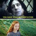 Yes, Yes, I Know. Jeez.  on Random Harry Potter Memes That Made Us Realize He's Actually Worst
