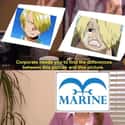 They're The Same on Random Hilarious Sanji Memes We Laughed Way Too Hard At
