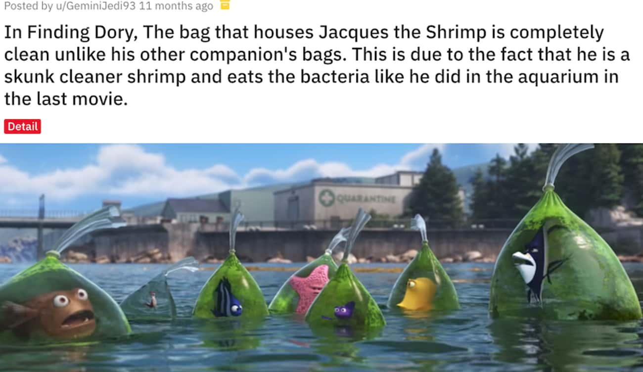 Jacques the Shrimp Keeps Its Plastic Bag Clean In Finding Dory