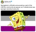 Real Life Sponges ARE Asexual on Random Best Twitter Reactions To Nickelodeon Confirming That SpongeBob Is Part Of LGBTQ+ Community