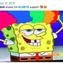There Were So Many Signs on Random Best Twitter Reactions To Nickelodeon Confirming That SpongeBob Is Part Of LGBTQ+ Community