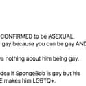 To Settle The Debate on Random Best Twitter Reactions To Nickelodeon Confirming That SpongeBob Is Part Of LGBTQ+ Community
