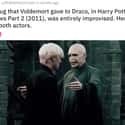 In Deathly Hollows Part 2, Voldemort Improvised That Awkward Hug on Random Small But Poignant Details From Harry Potter