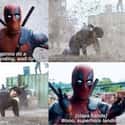 Slow Clap on Random Hilarious Deadpool Comebacks That Only Merc With Mouth Could Pull Off