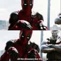 Rawr.  on Random Hilarious Deadpool Comebacks That Only Merc With Mouth Could Pull Off