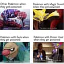 In A Nutshell on Random Hilarious Memes Only Pokémon Video Game Fans Will Understand