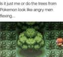 Can't Unsee on Random Hilarious Memes Only Pokémon Video Game Fans Will Understand