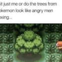 Can't Unsee on Random Hilarious Memes Only Pokémon Video Game Fans Will Understand