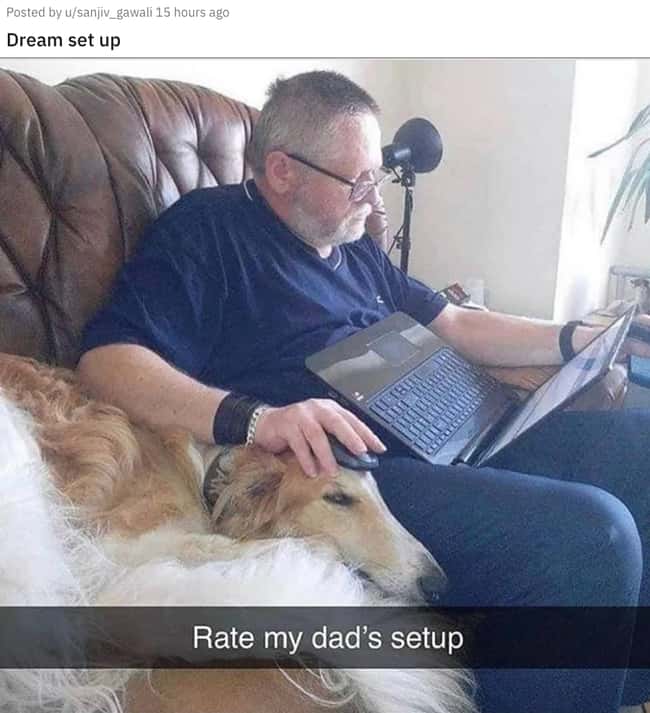 Dogs Are The New Mouse Pads is listed (or ranked) 25 on the list 31 Awesome Pictures That Went Viral In June 2020