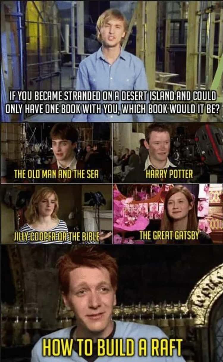 The best Harry Potter memes 
