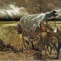 Death Was Bound To Happen, But There Wasn't Much Anyone Could Do For Those Deceased on Random Things About Life on the Oregon Trail