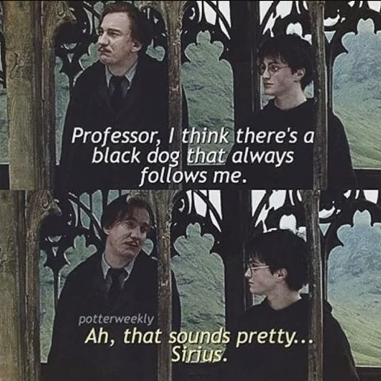 18-marauder-memes-that-we-solemnly-swear-are-up-to-no-good