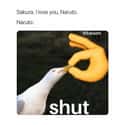 Yeah Right on Random Hilarious Naruto Shippuden Memes We Laughed Way Too Hard At