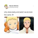 Wow on Random Hilarious Memes About Adult Naruto That Made Us Laugh Way Too Hard