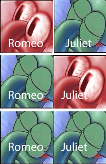 Shakespeare Meme Romeo And Juliet