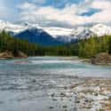 Bow River on Random Best Fly Fishing Rivers in the World