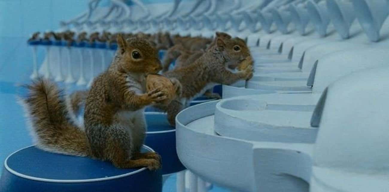 Trained Squirrels Were Used During This 'Charlie And The Chocolate Factory' Scene