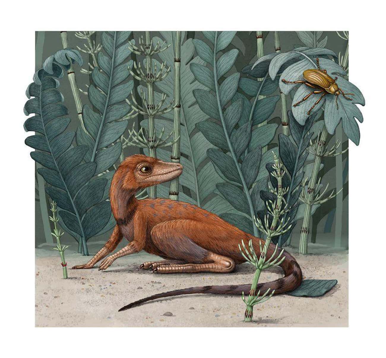Dinosaurs Might Have Evolved From A 4-Inch-Tall Reptile