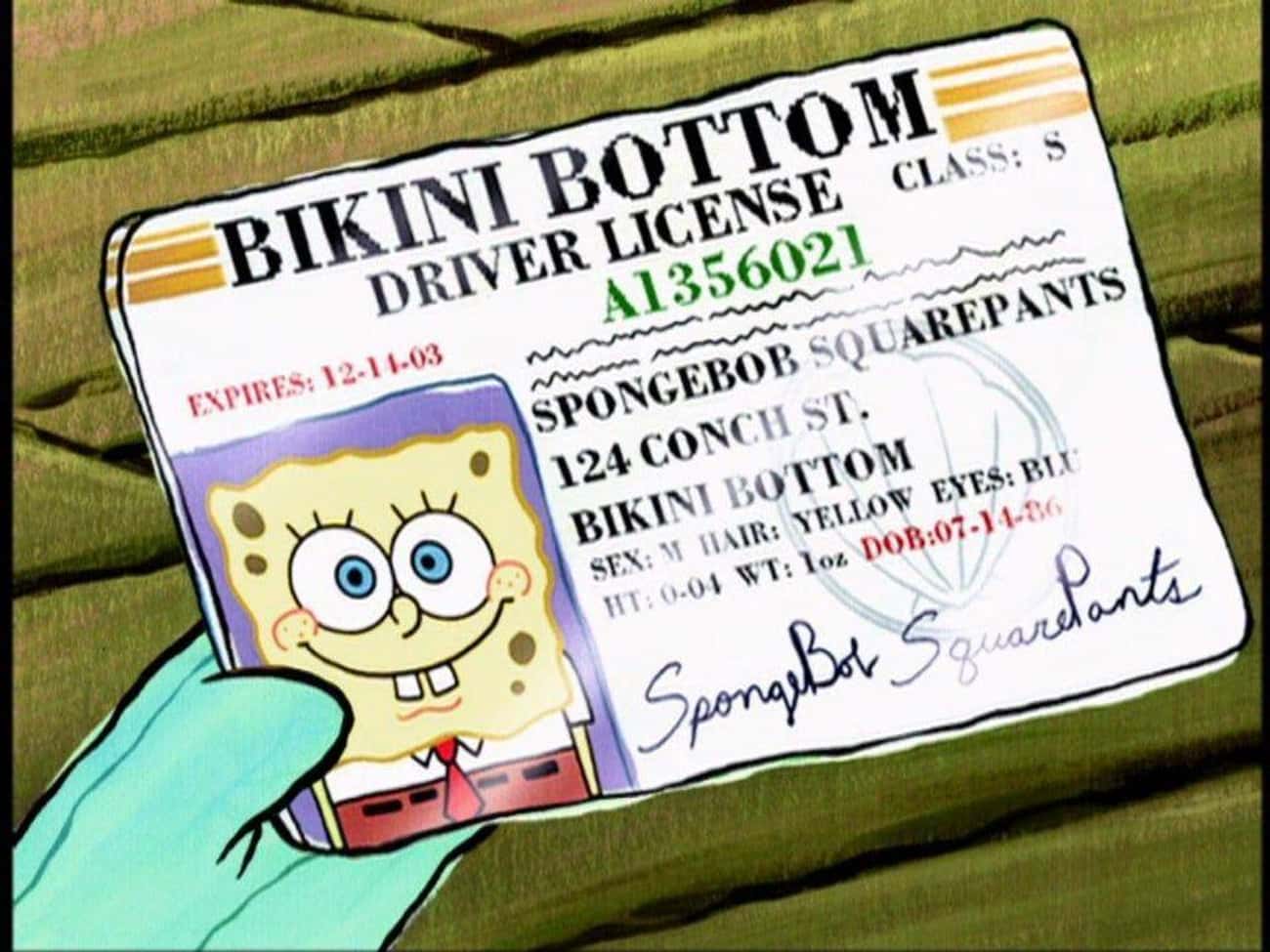 Spongebob's Height And Weight Are Those Of An Actual Sponge