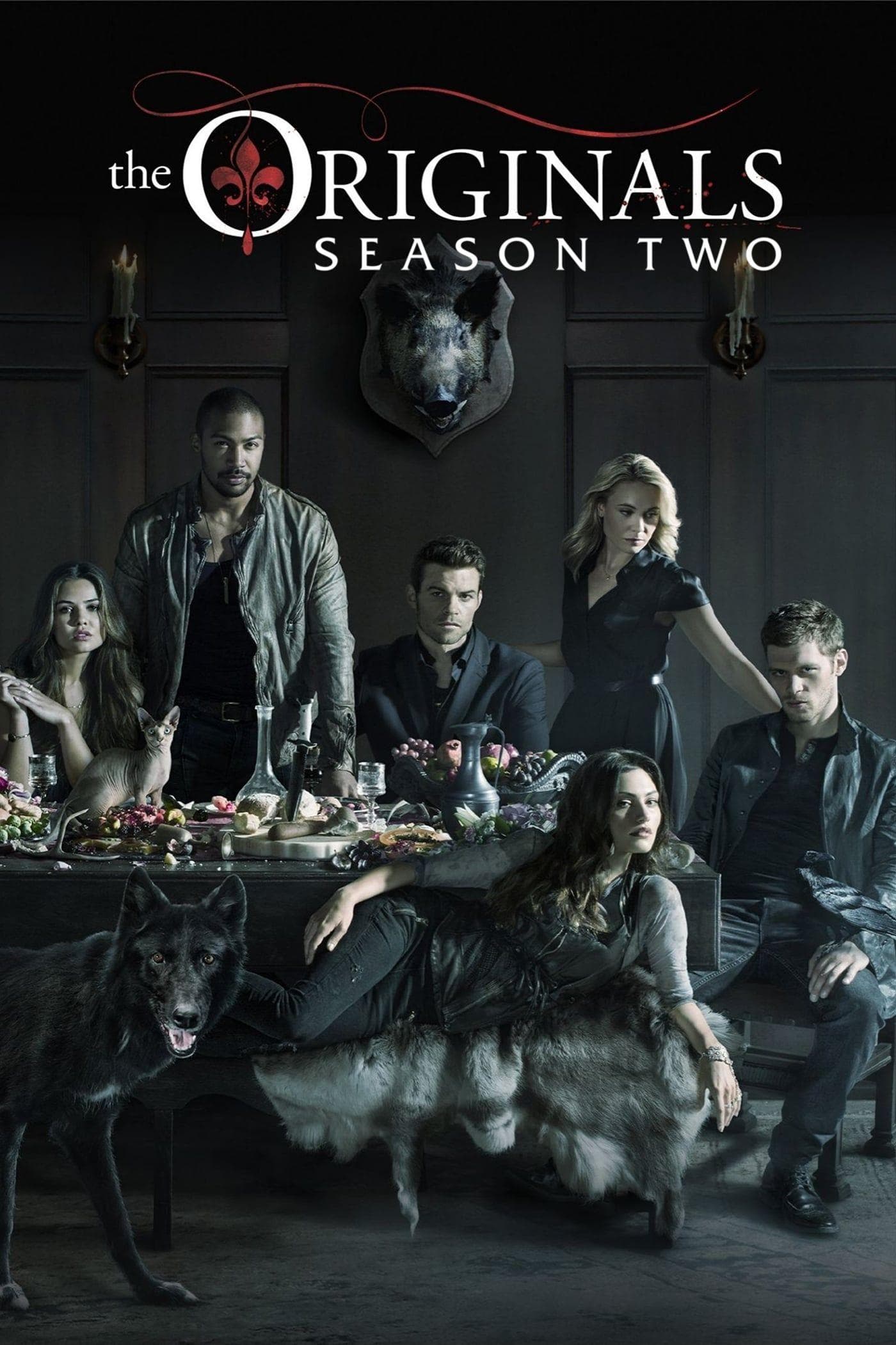 Ranking Every Season Of The Originals Best To Worst   1002193369 Photo U1