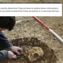 Archaeologists Lick Bones on Random Jobs With Weirdly Dark Secrets Public Doesn’t Know About