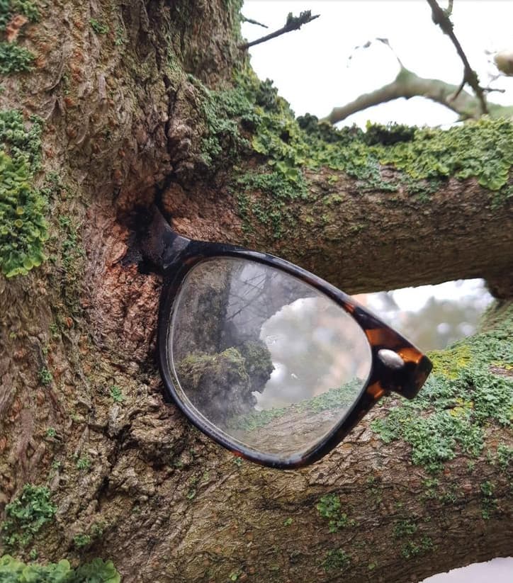 40 Weird Pictures Of Trees Eating Things People Left Behind