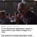 In Shawshank Redemption, The Maggot Was Not Living on Random Legendary Behind Scenes Moments That Will Go Down In History