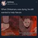 Shikamaru Is The MVP on Random Wholesome Naruto Memes That Will Make You Smile
