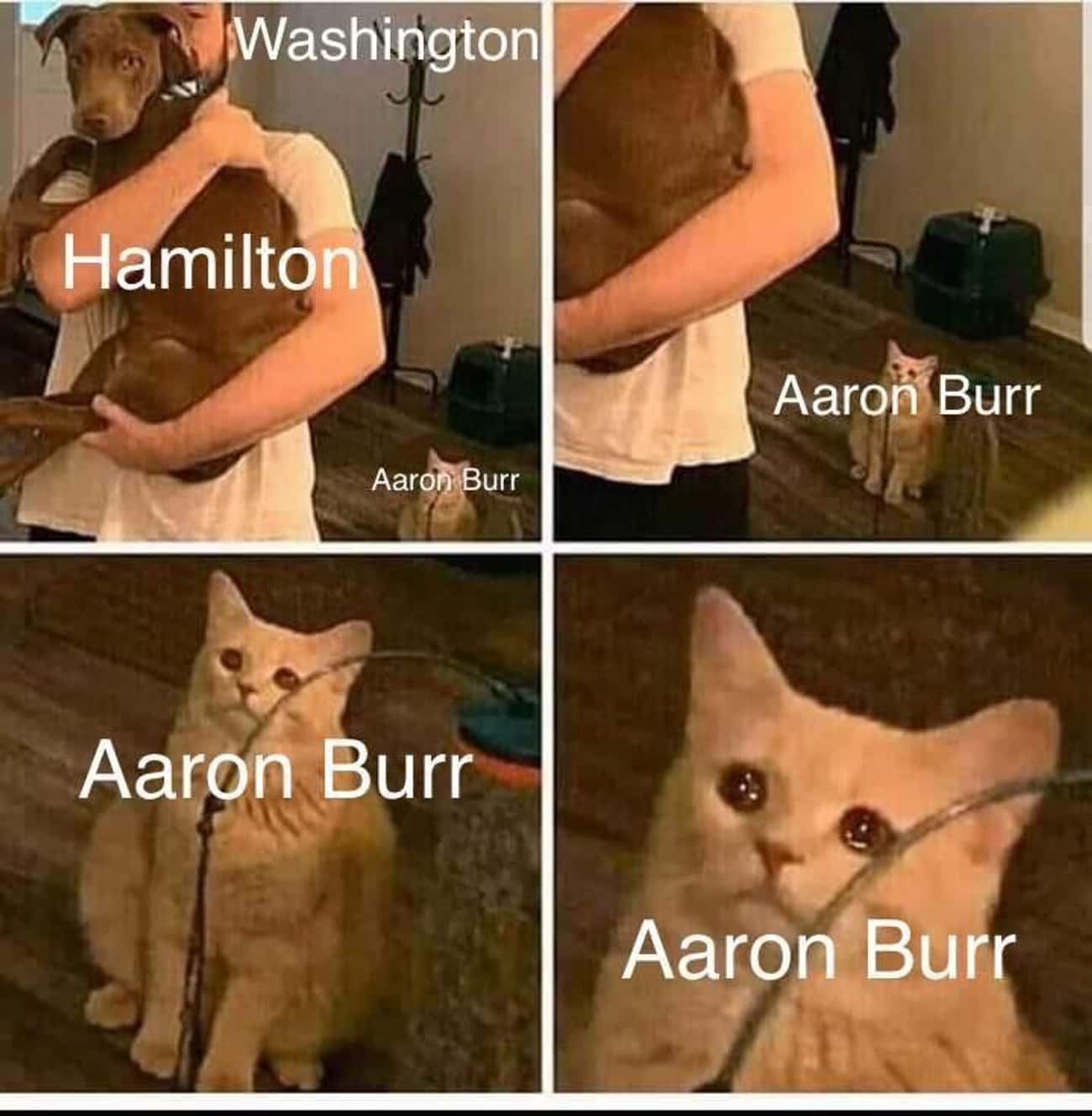 What About Burr, Sir?