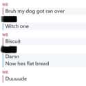 Flat Bread on Random Best Comebacks On Internet