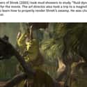 How Shrek's Mud Showers Came To Be on Random Small But Poignant Details Fans Noticed About 'Shrek' Movies