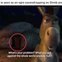 How Did We Never Notice That?! on Random Small But Poignant Details Fans Noticed About 'Shrek' Movies
