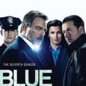 Blue Bloods - Season 7 on Random Best Seasons of 'Blue Bloods'