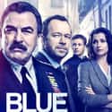 Blue Bloods - Season 9 on Random Best Seasons of 'Blue Bloods'