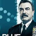 Blue Bloods - Season 10 on Random Best Seasons of 'Blue Bloods'