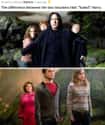 Difference With Other Teachers on Random Small But Poignant Details Fans Noticed About Severus Snape From Harry Potter