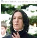 Dude Had Some Sweet Curls on Random Small But Poignant Details Fans Noticed About Severus Snape From Harry Potter
