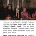When Snape Snapped Right Back At Umbridge on Random Small But Poignant Details Fans Noticed About Severus Snape From Harry Potter
