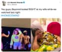 Eye Contact With Queen B Herself on Random Lin-Manuel Miranda Tweets That Prove He Is His Wife's Biggest Fan