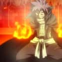 Natsu - 'Fairy Tail' on Random Greatest Half-Human Hybrid Characters In Anim