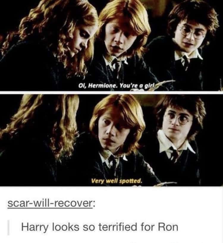 27 Wholesome Harry Potter Memes For Anyone Who Could Use A