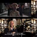 Dobby Is In His Trailer on Random Wholesome Behind The Scenes Harry Potter Moments